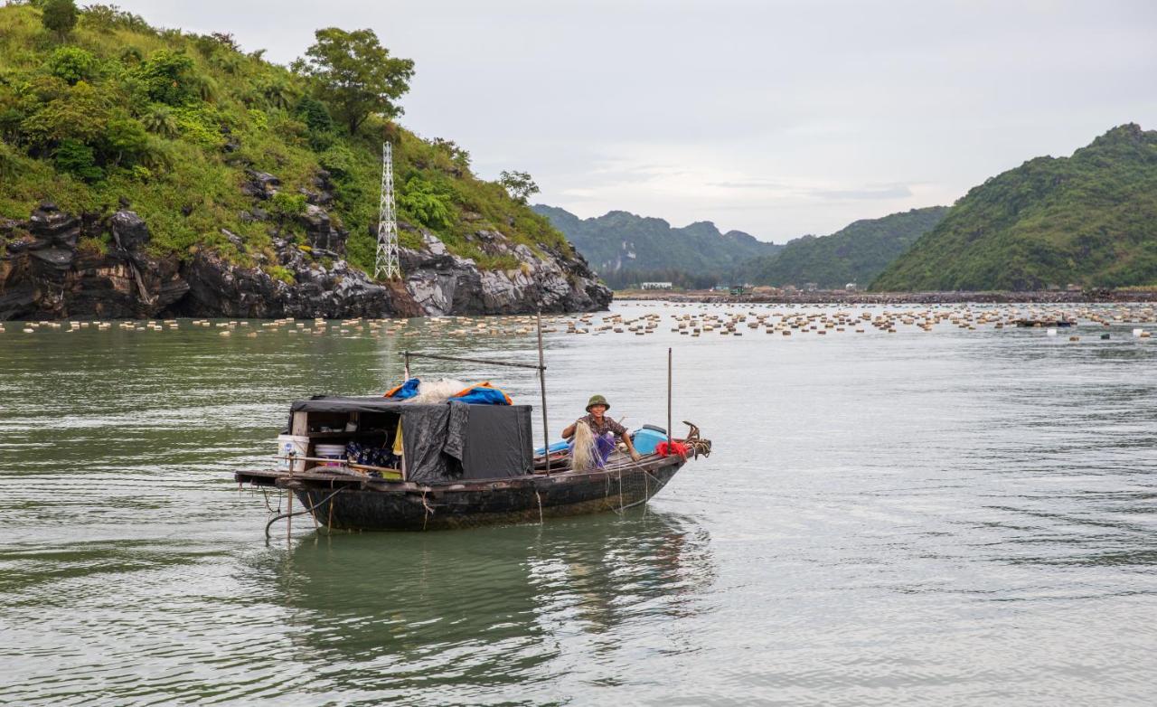 Cat Ong Island Retreat - Catbabay カットバ島 エクステリア 写真